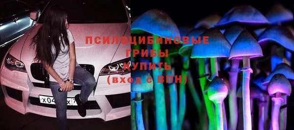 apvp Арсеньев